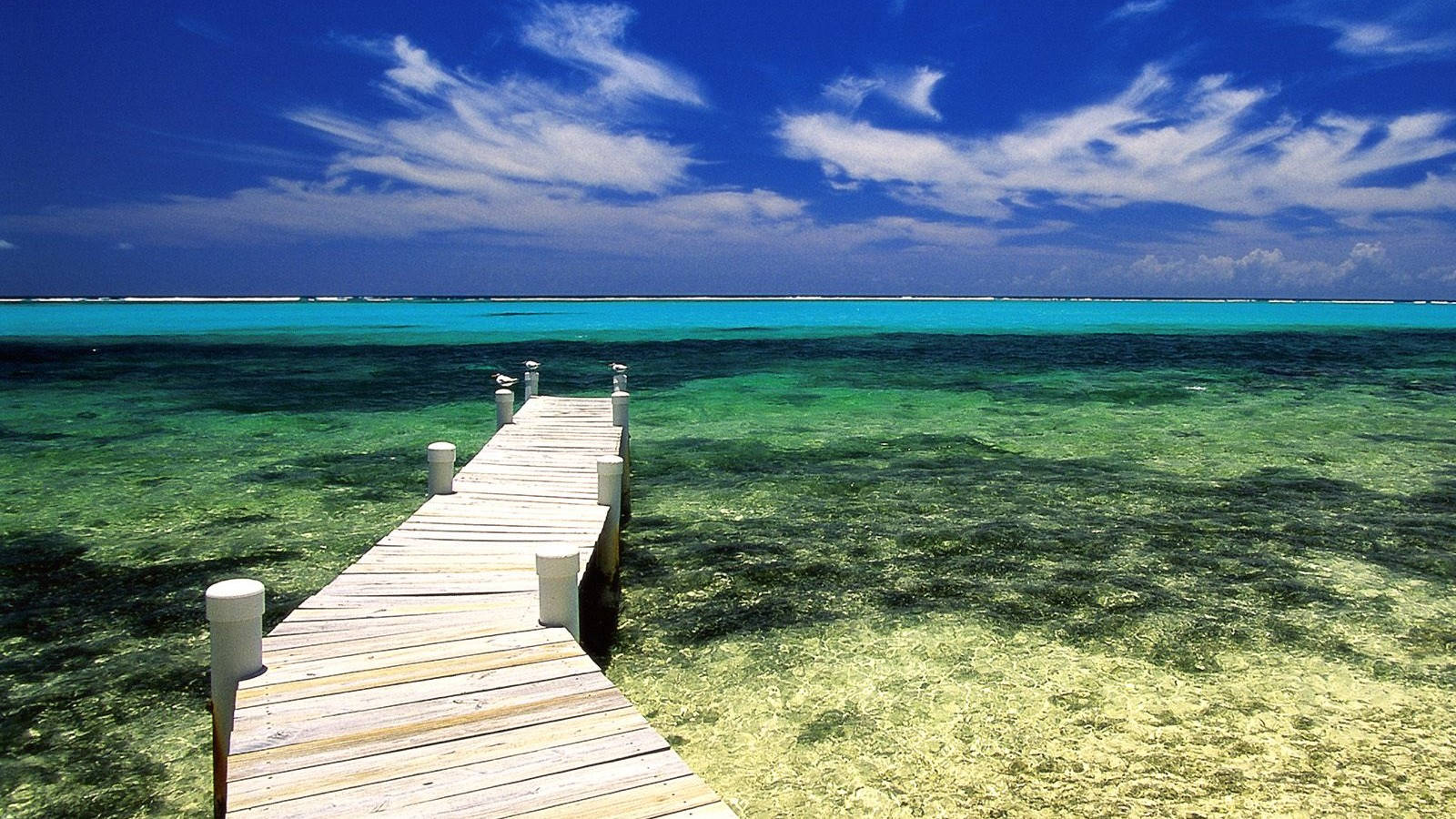 Cayman Island Grand Pier Panoramabillede Wallpaper