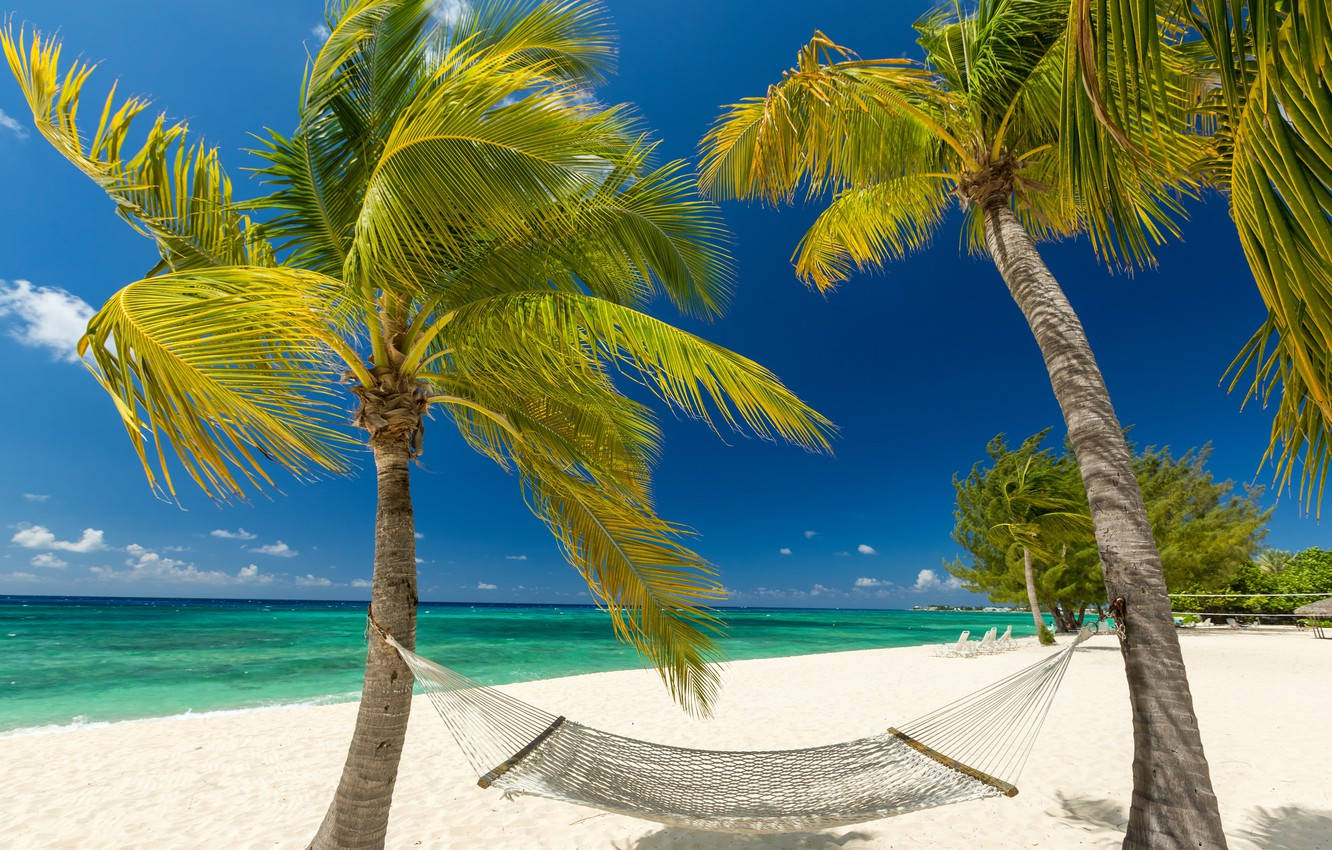 Hamacasde Las Islas Caimán Junto A La Playa. Fondo de pantalla