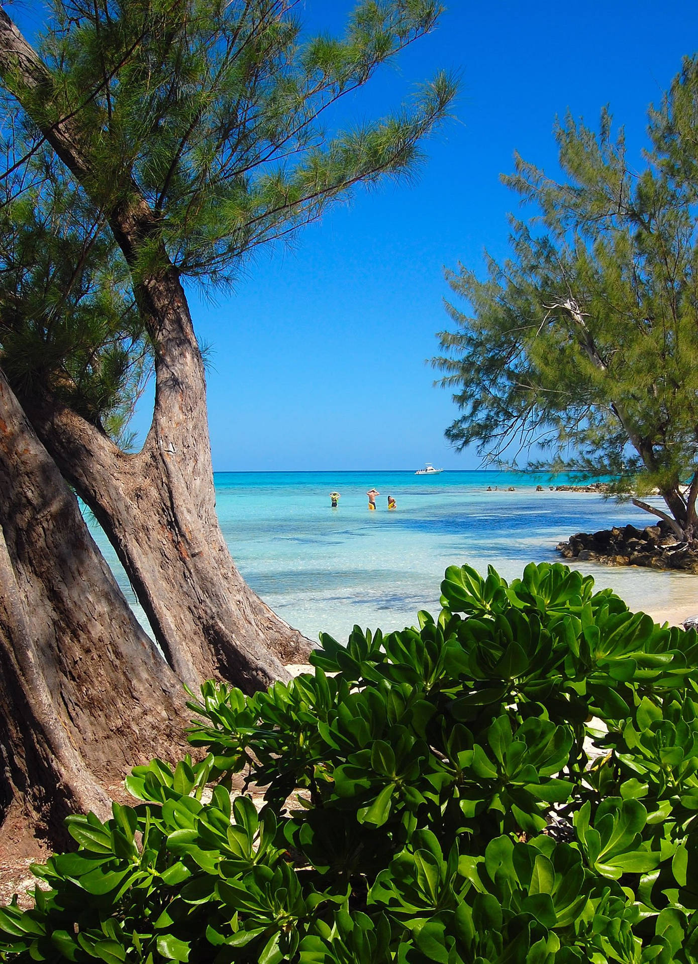 Vista Sul Mare Dell'isola Di Cayman Sfondo