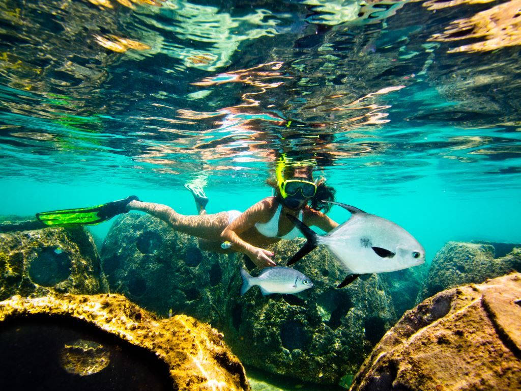 Caymanisland Snorkling: Caymanöarnas Snorkling Wallpaper