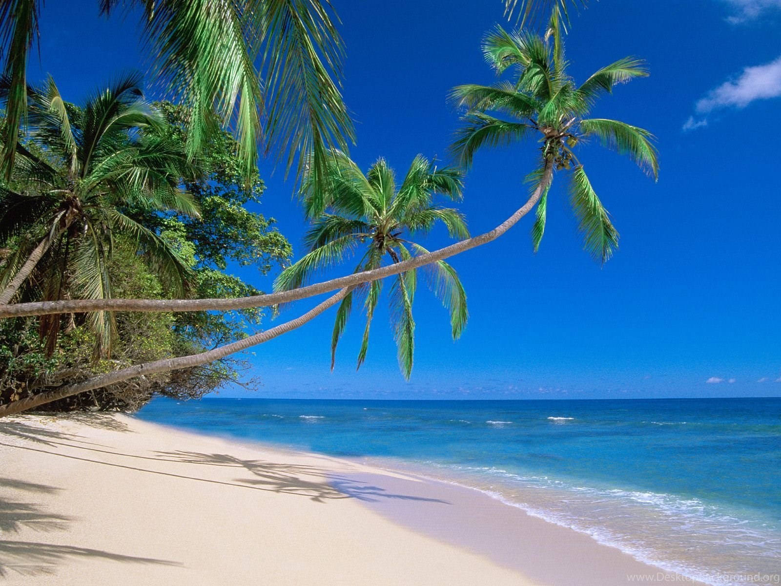 Spiaggia Tropicale Dell'isola Di Cayman Sfondo