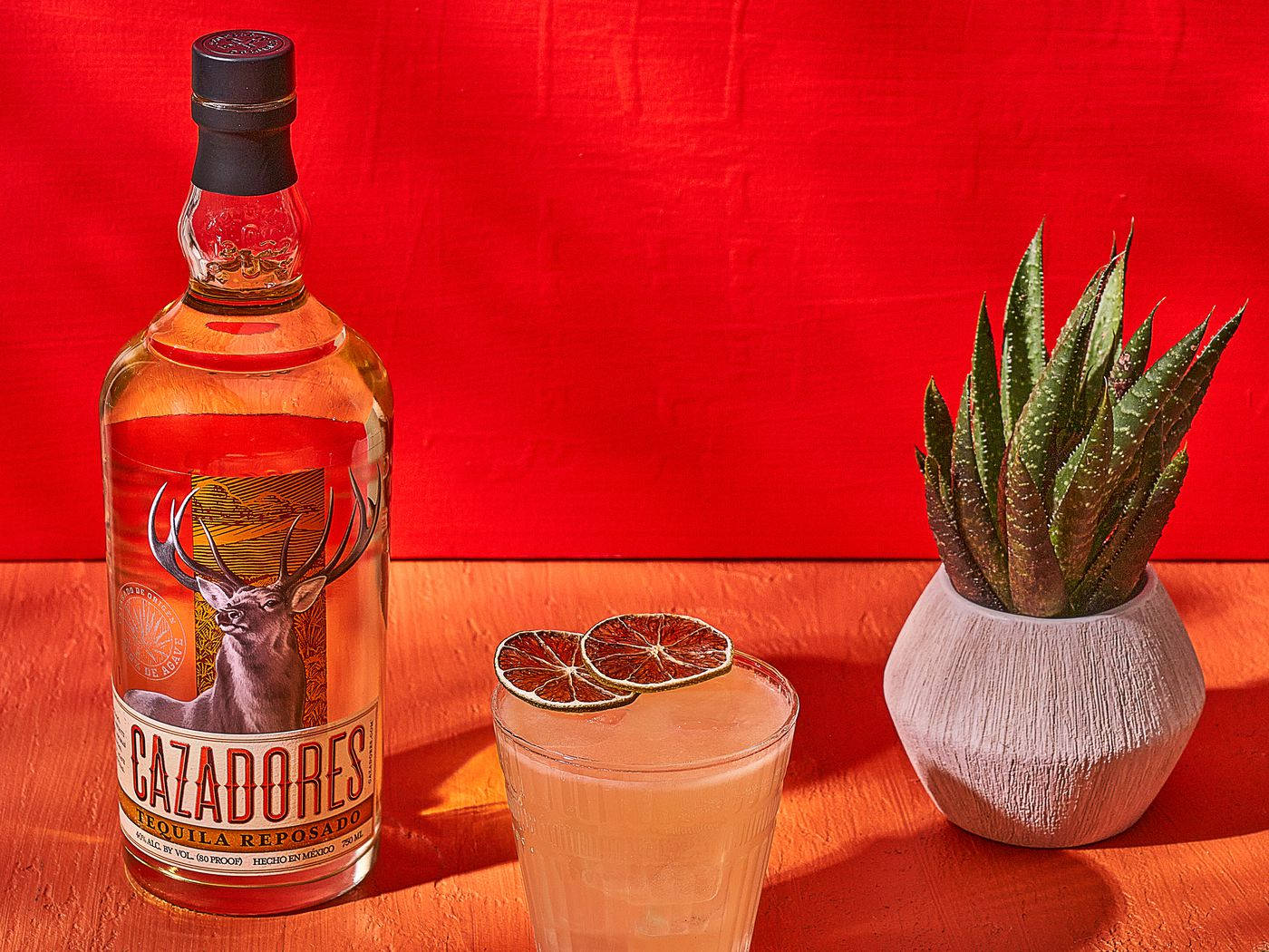 Cazadores Tequila With Orange Water And Succulent Wallpaper