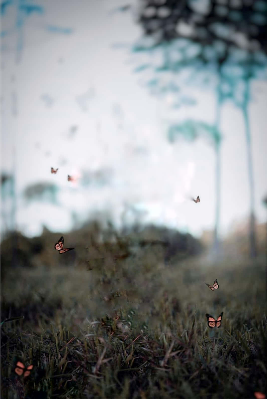 Flygandemonarkfjärilar Cb Bakgrund.