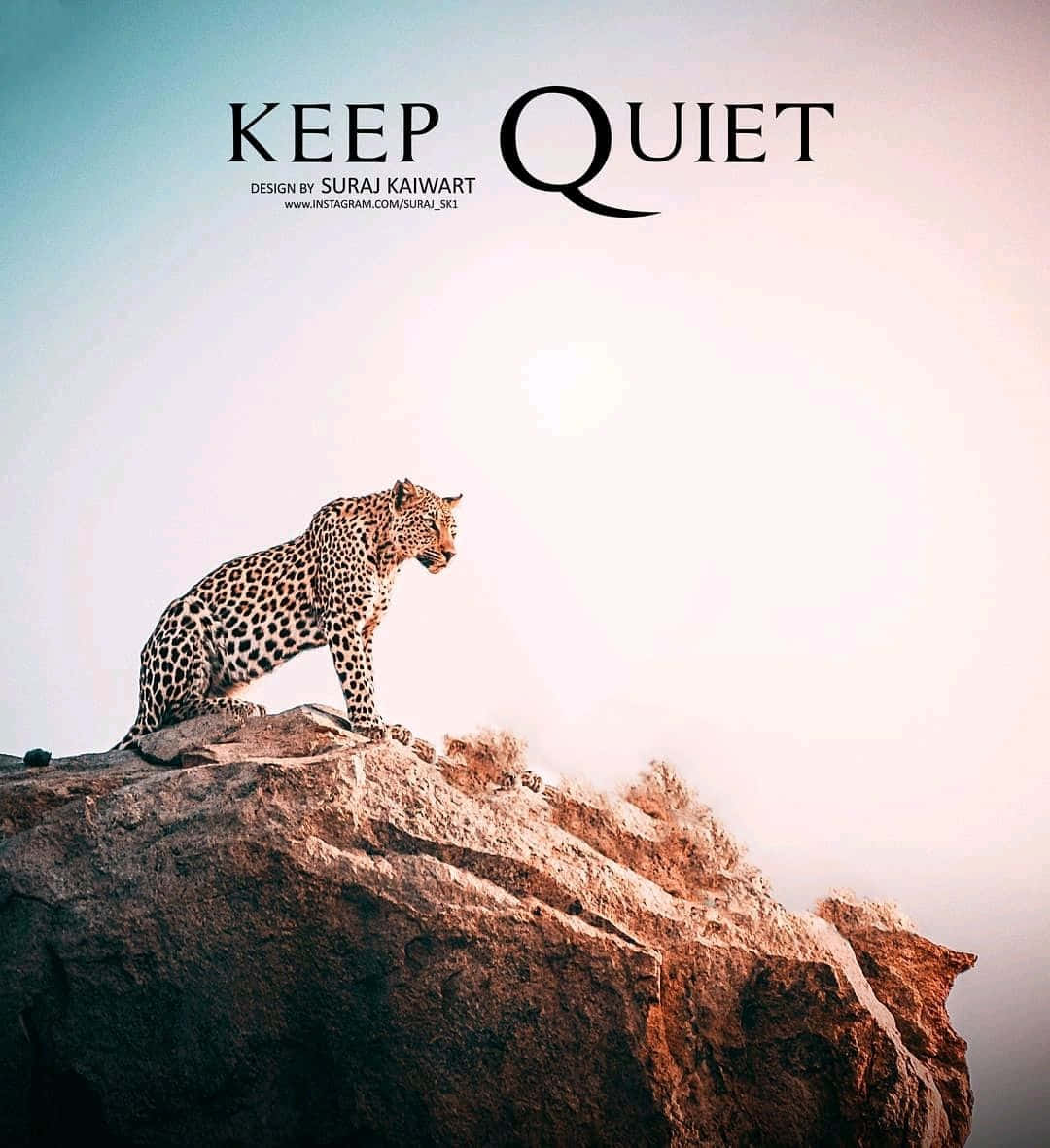 Keep Quiet - A Leopard On Top Of A Rock