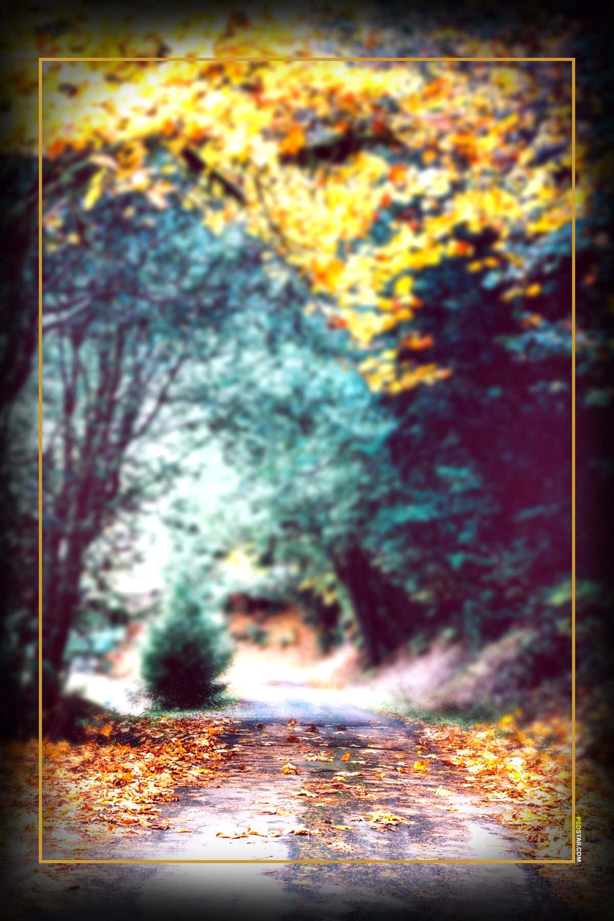 Autumn Tree CB Background