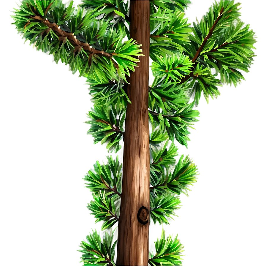 Cedar Tree Branch Png 73 PNG