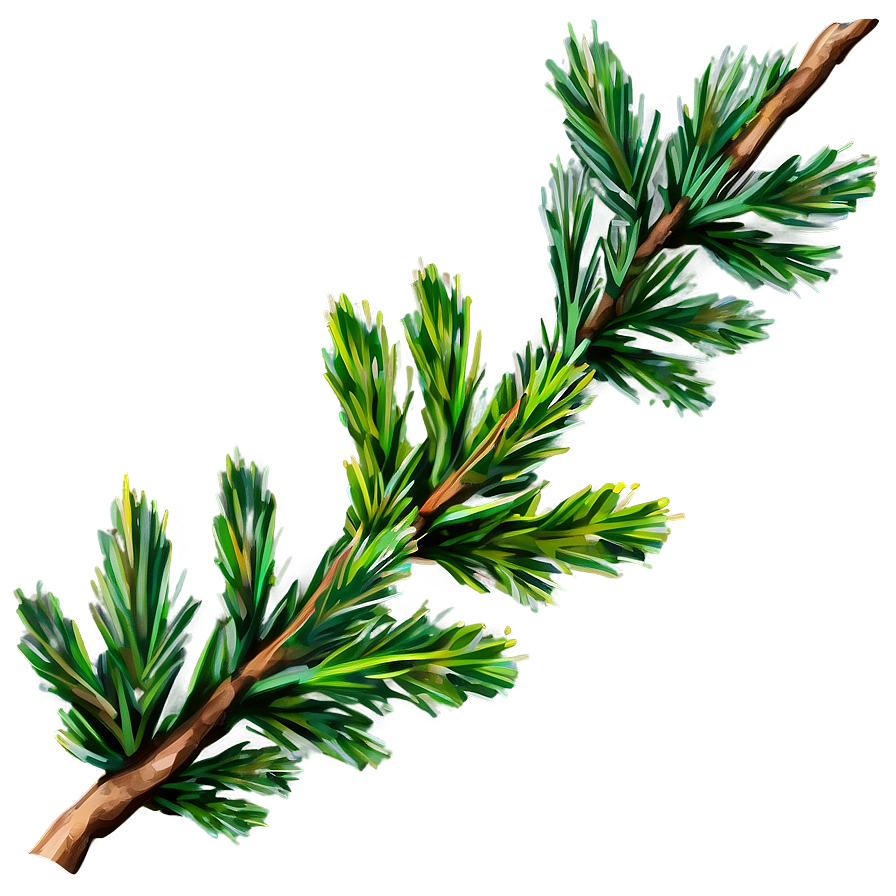 Cedar Tree Branch Png Qoc1 PNG