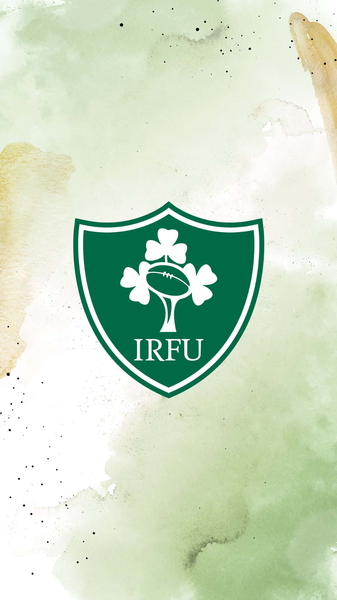 Celebraciónde La Victoria Del Equipo De Rugby De Irlanda Fondo de pantalla