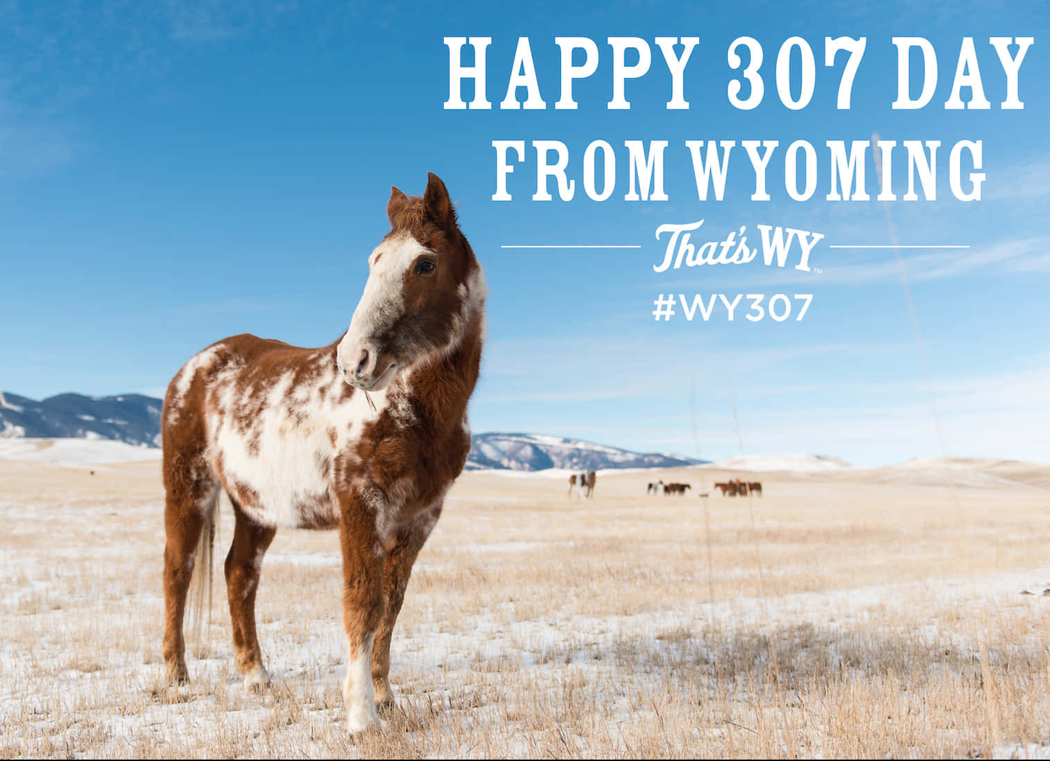 "celebrating 307 Day In Wyoming: Breathtaking Mountain Panorama" Wallpaper