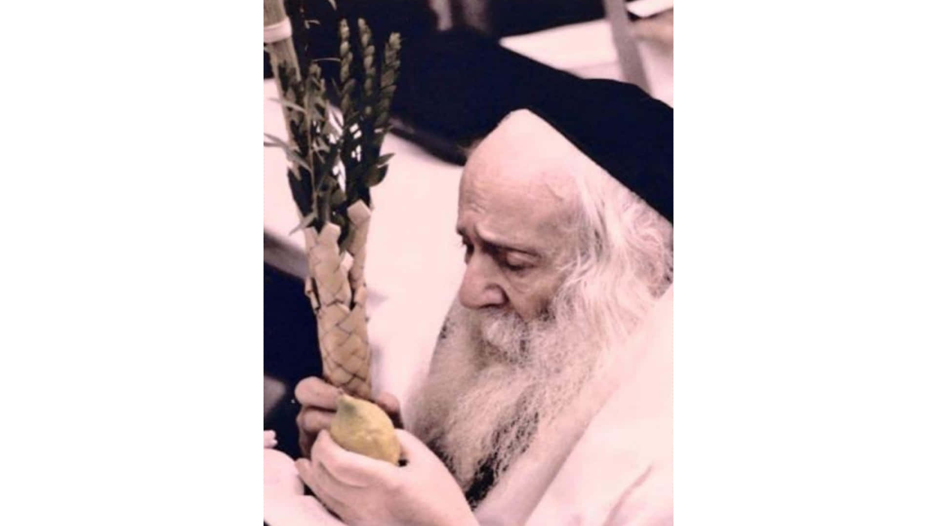 Celebrating Hoshana Rabbah: A Man Holding Lulav And Etrog. Wallpaper