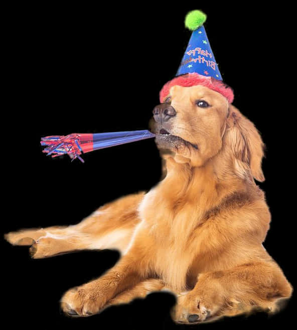 Celebratory Dog With Party Hat PNG