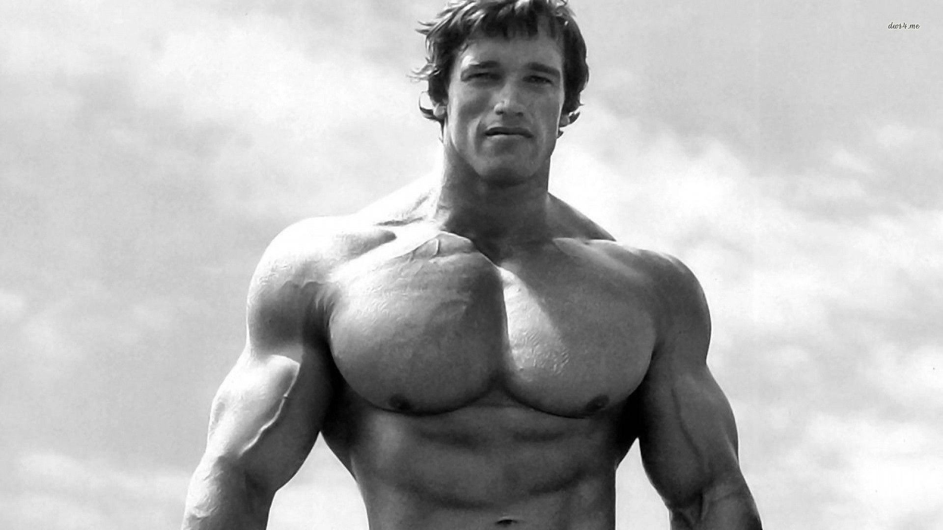 Celebrity Arnold Schwarzenegger Grayscale Sky Wallpaper