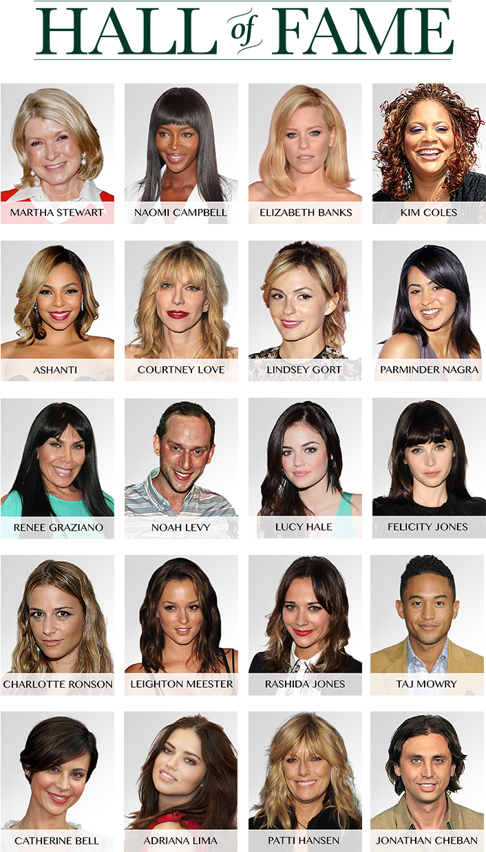 Celebrity Hallof Fame Collage PNG