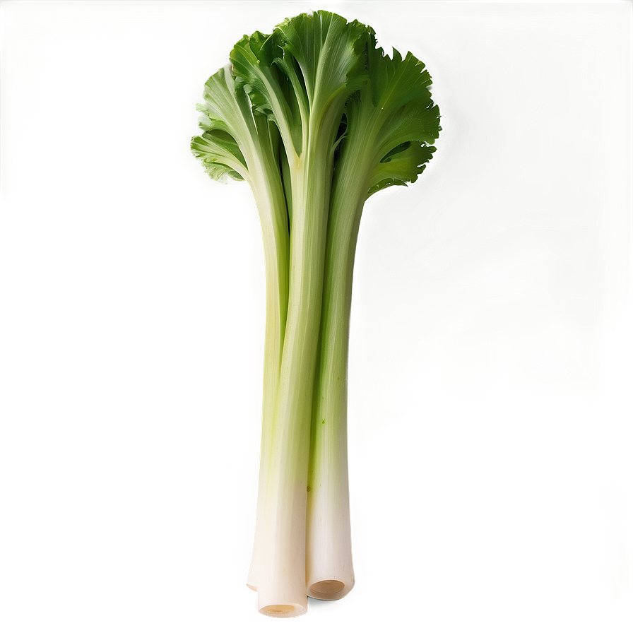 Celery Bundle Png 49 PNG