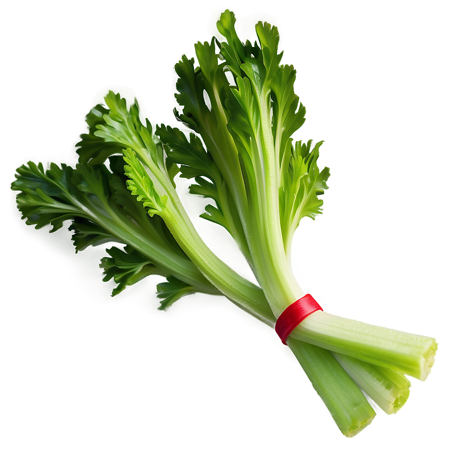 Celery On White Background Png Ckk PNG