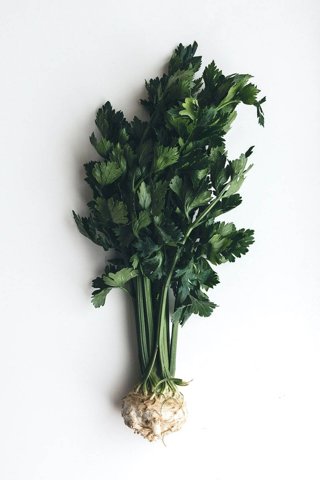 Celery Root Vertical Flat Lay Wallpaper