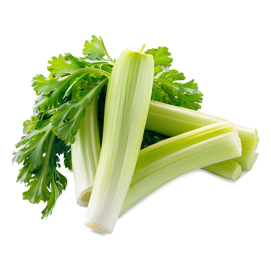 Celery Stalk Png 06252024 PNG