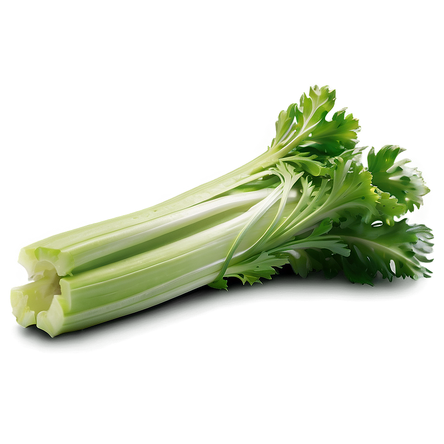 Celery Stalk Png 06252024 PNG