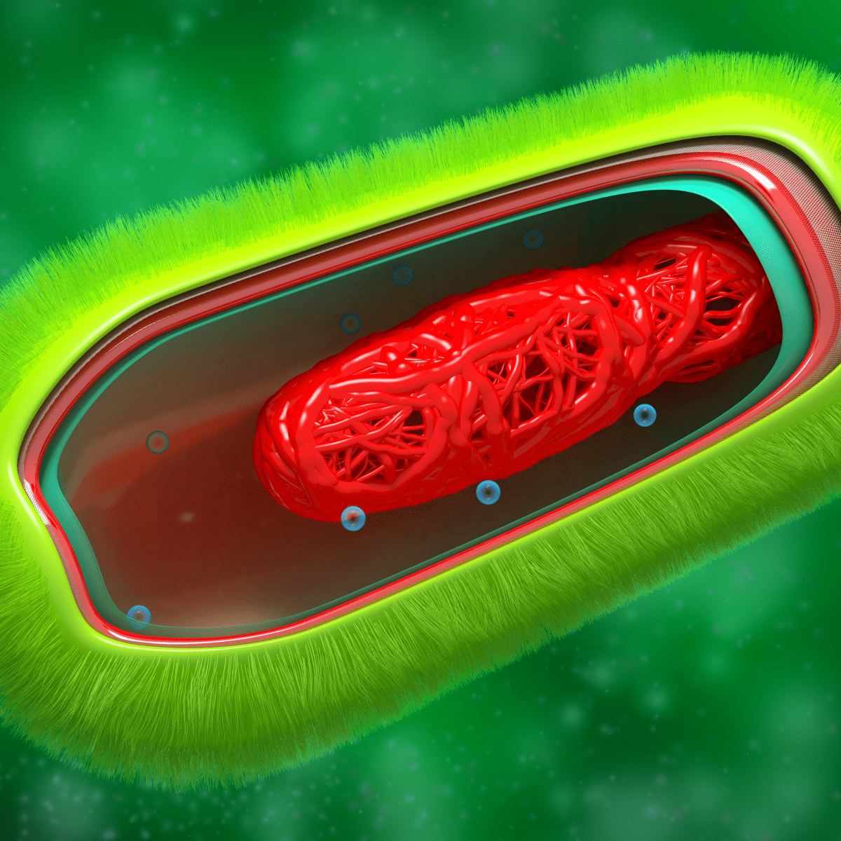 Stay connected with the latest cell phone technology. Background — Cross-section of a green bacterium revealing a glowing red internal network against a vibrant green background.