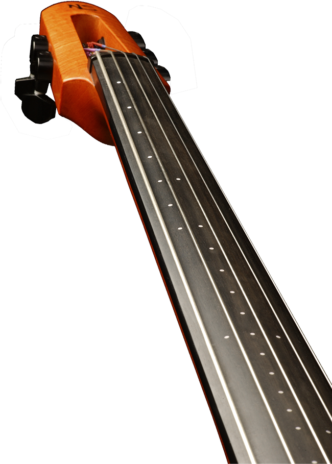 Cello Neckand Strings Up Close PNG
