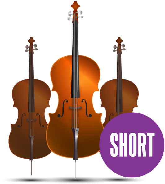 Cello Size Comparison Chart PNG