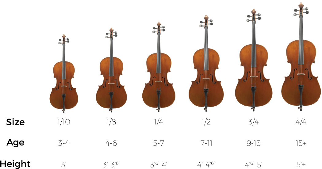 Cello Sizes Comparison Chart PNG