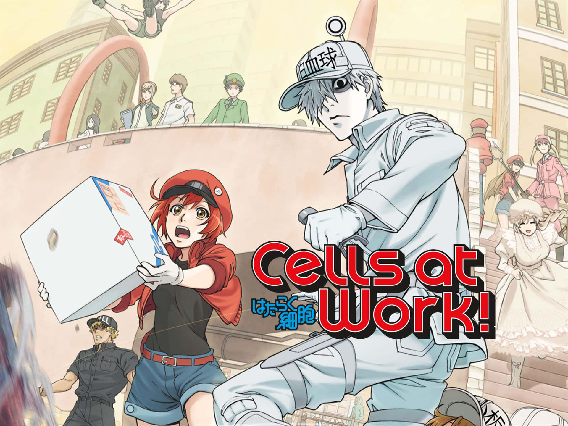 Cells At Work Anime Poster Achtergrond