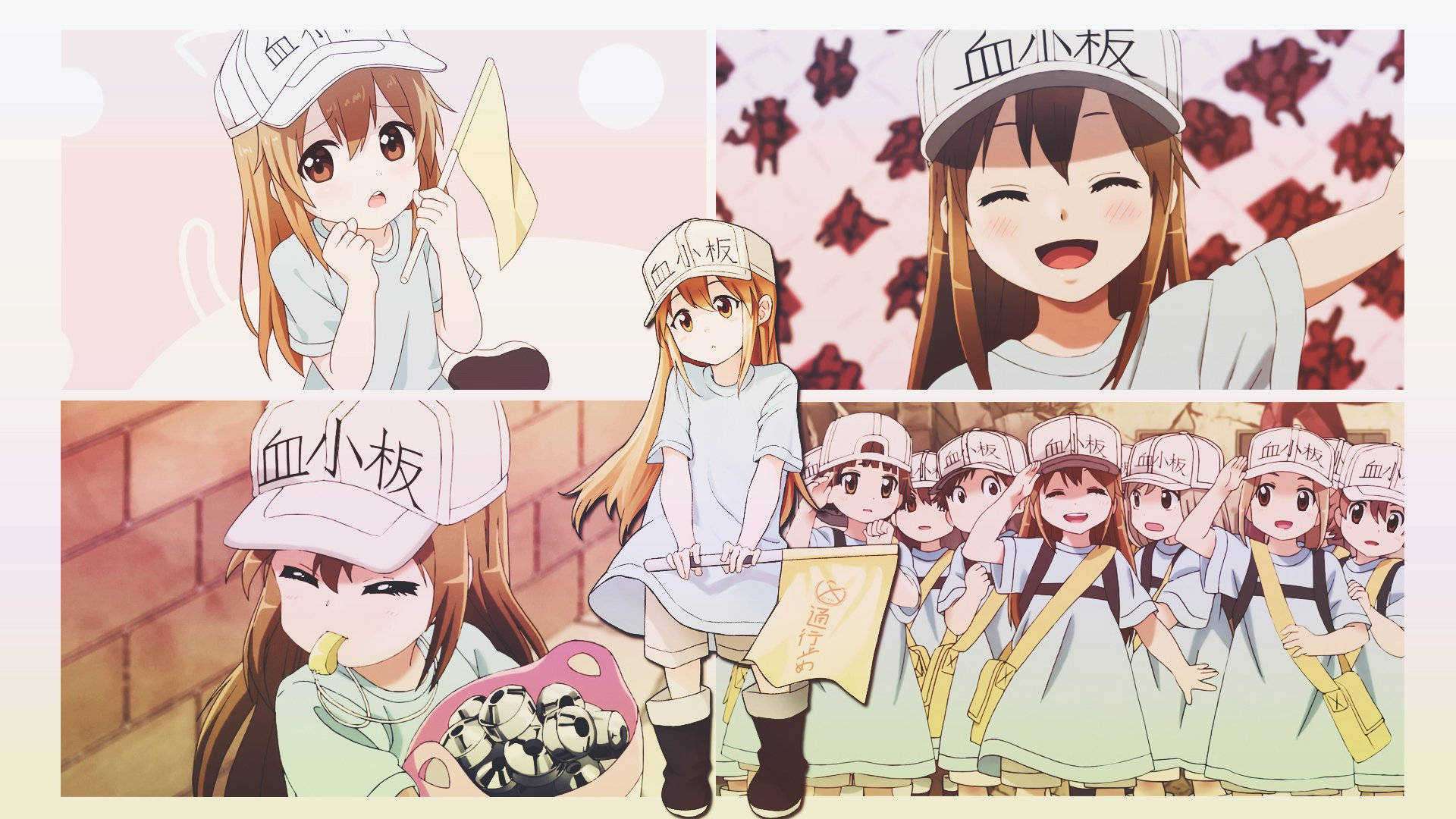 Cells At Work Platelet Cute College