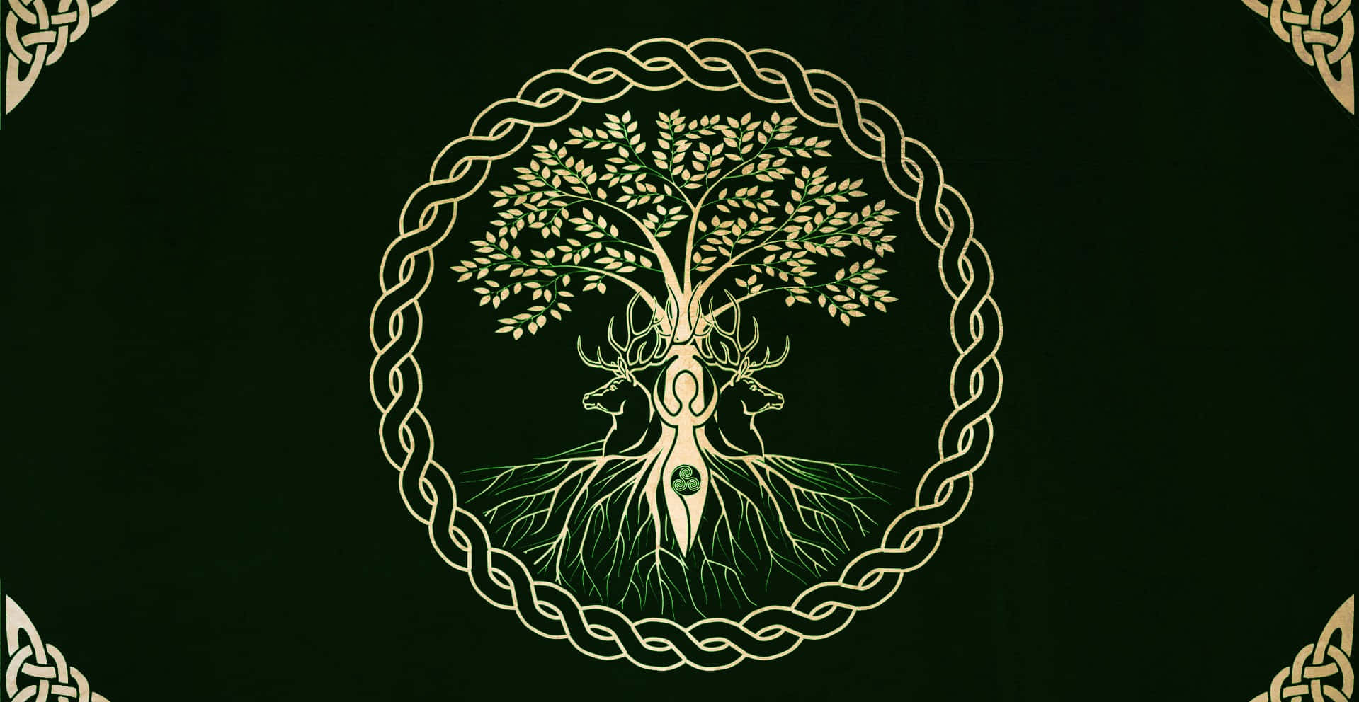 Alberoceltico Degli Druidi Irlandesi Sfondo