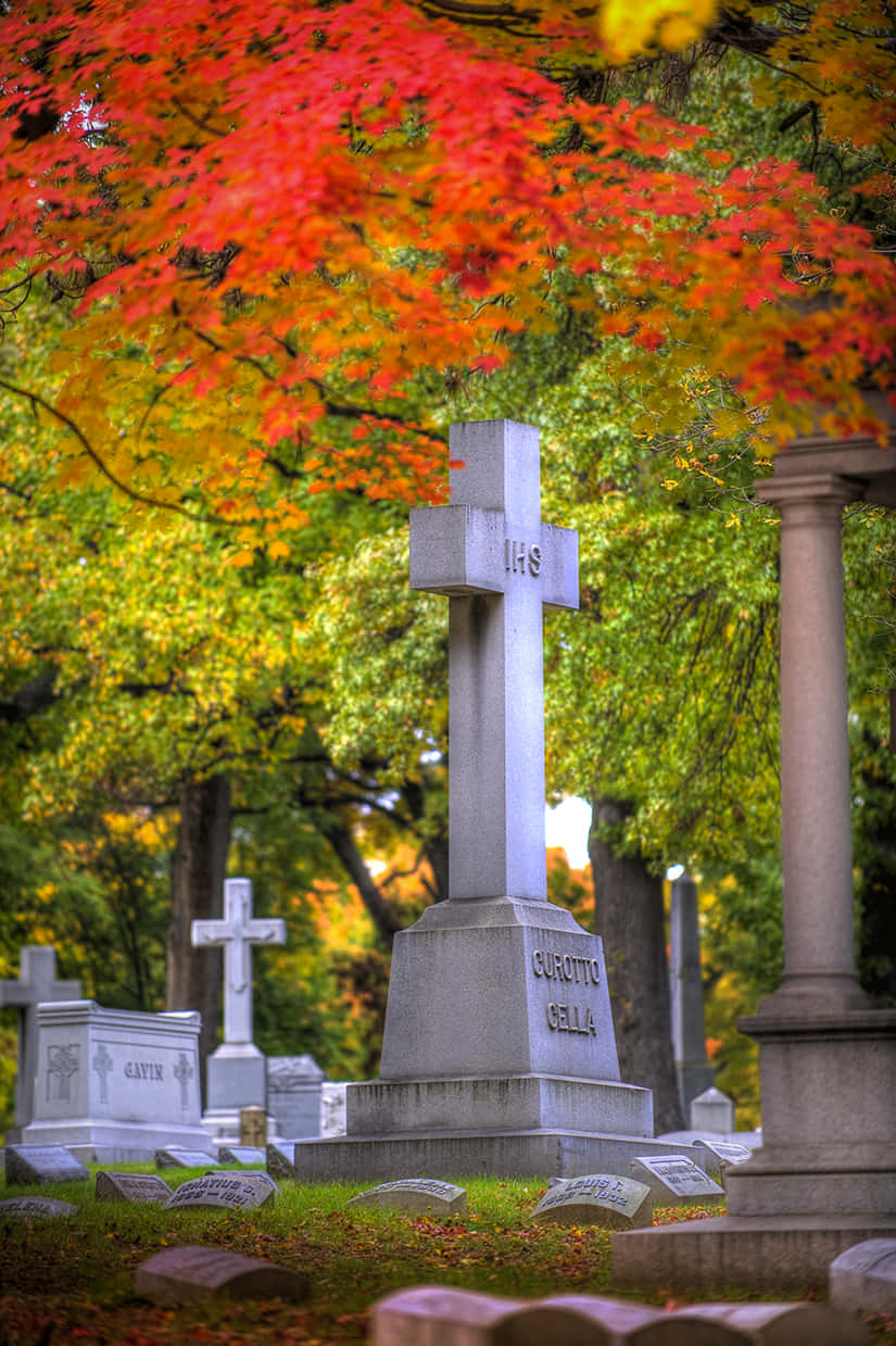 Cemetery Background