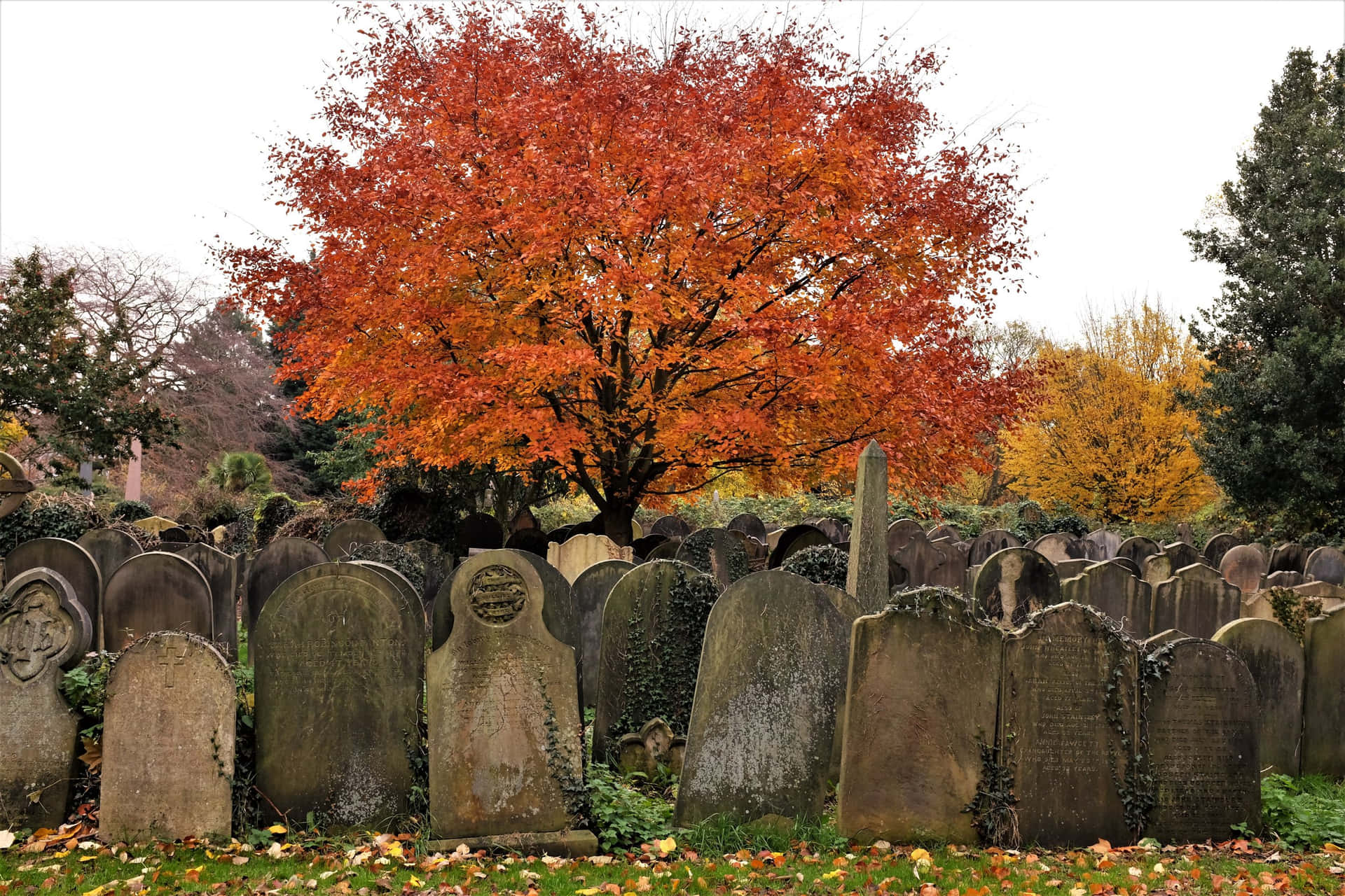 Fondode Cementerio