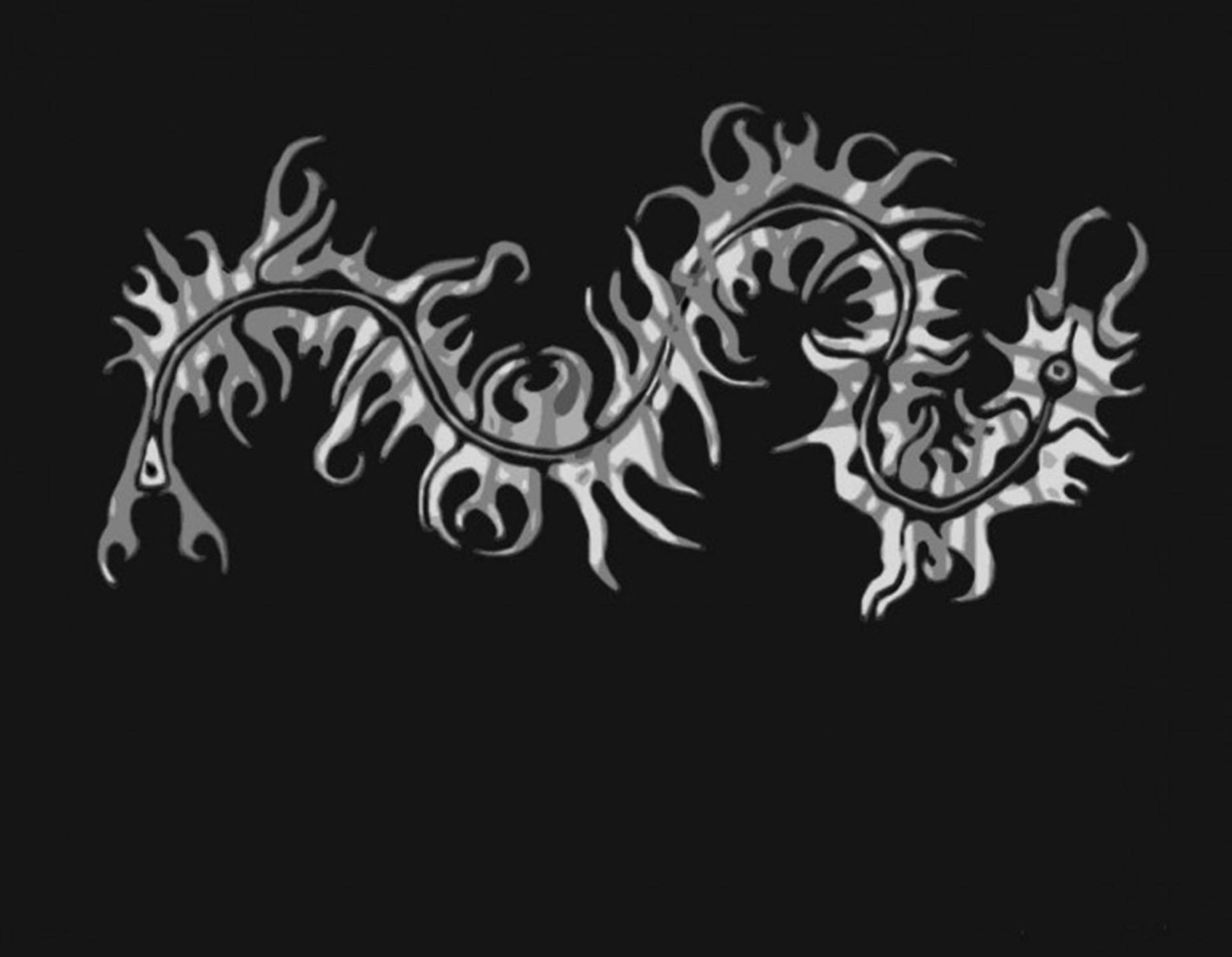 Centipede Black And White Tribal Aesthetic Picture