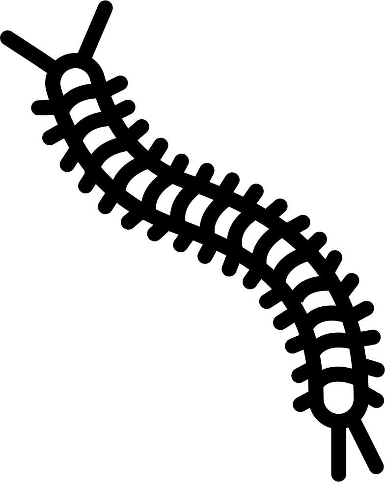 Centipede Silhouette Graphic PNG