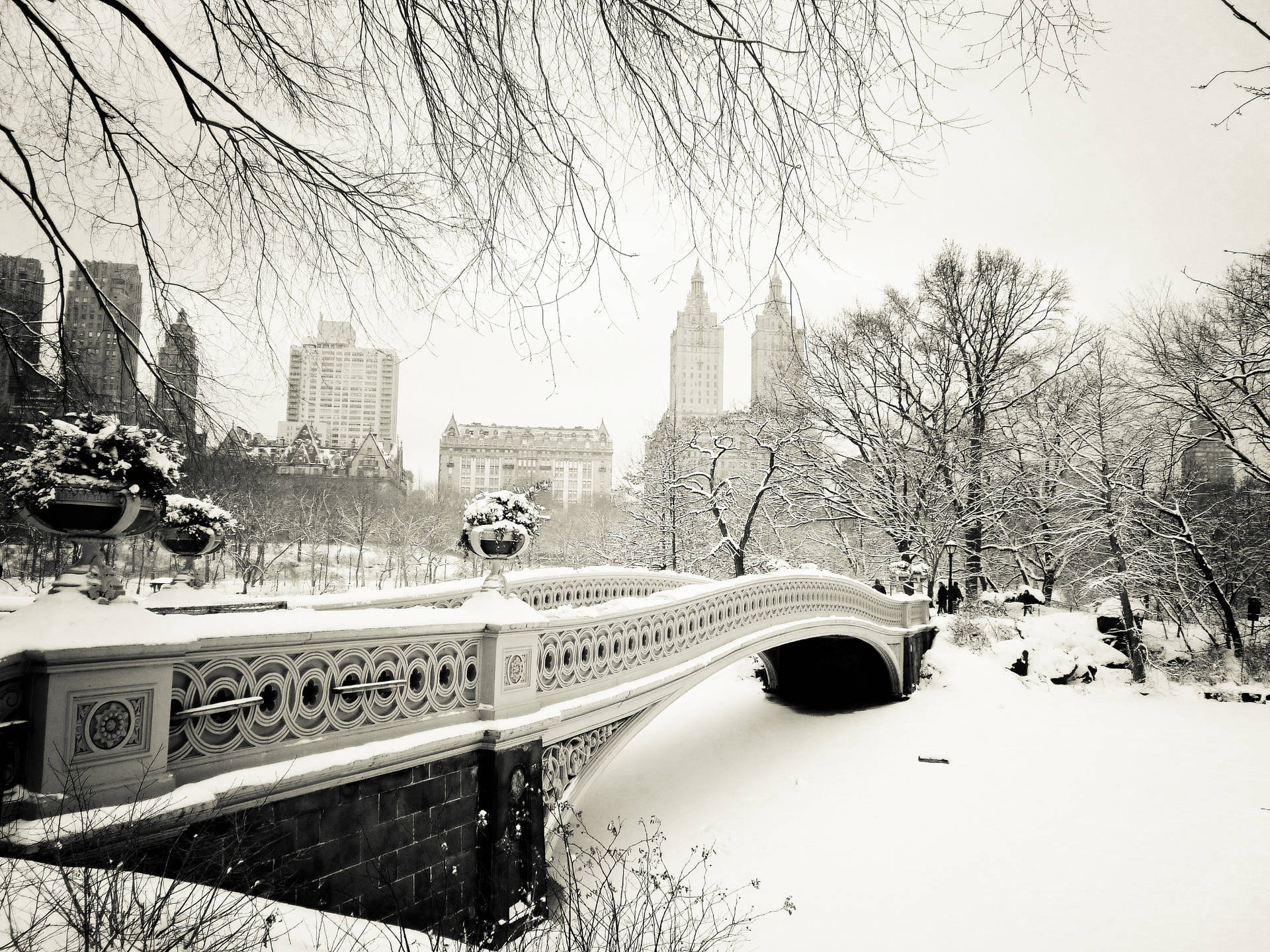 Central Park Bridge New York Black And White Wallpaper