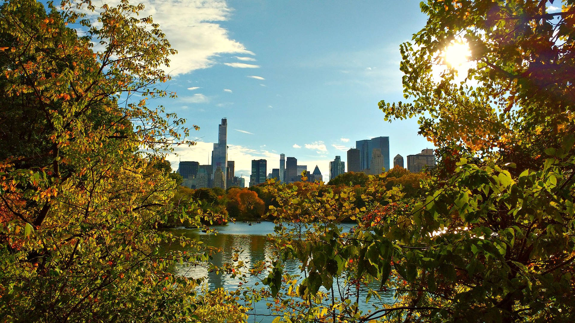 Central Park Cityscape Framed By Trees Wallpaper