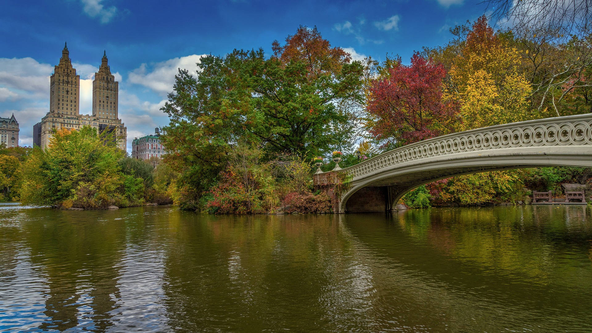 Central Park Lake With Bridge Wallpaper