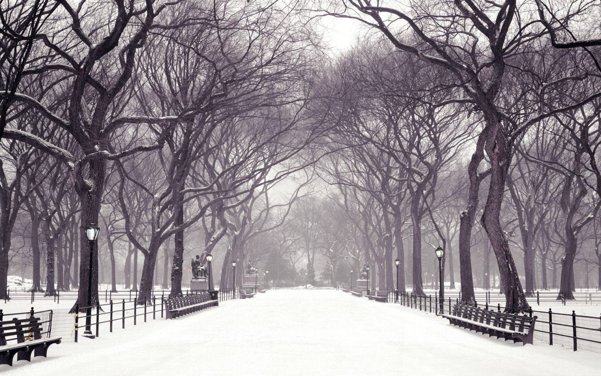 Central Park Vinter Desktop Wallpaper