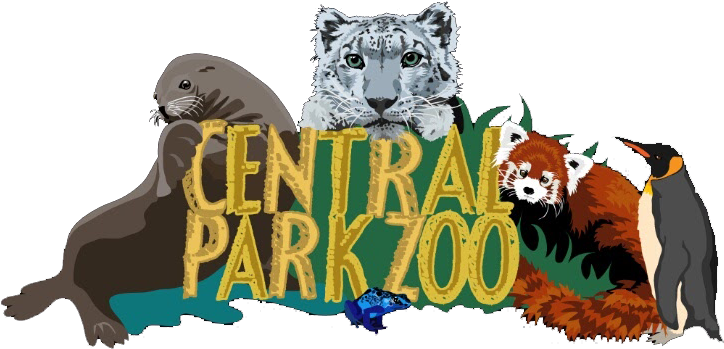 Central Park Zoo Animal Montage PNG