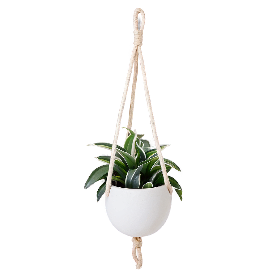 Ceramic Hanging Plant Png Llf PNG