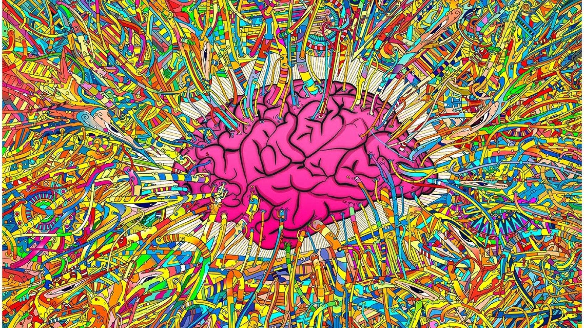 Gehirnrindeverbunden Mit Regenbogenfarben Wallpaper