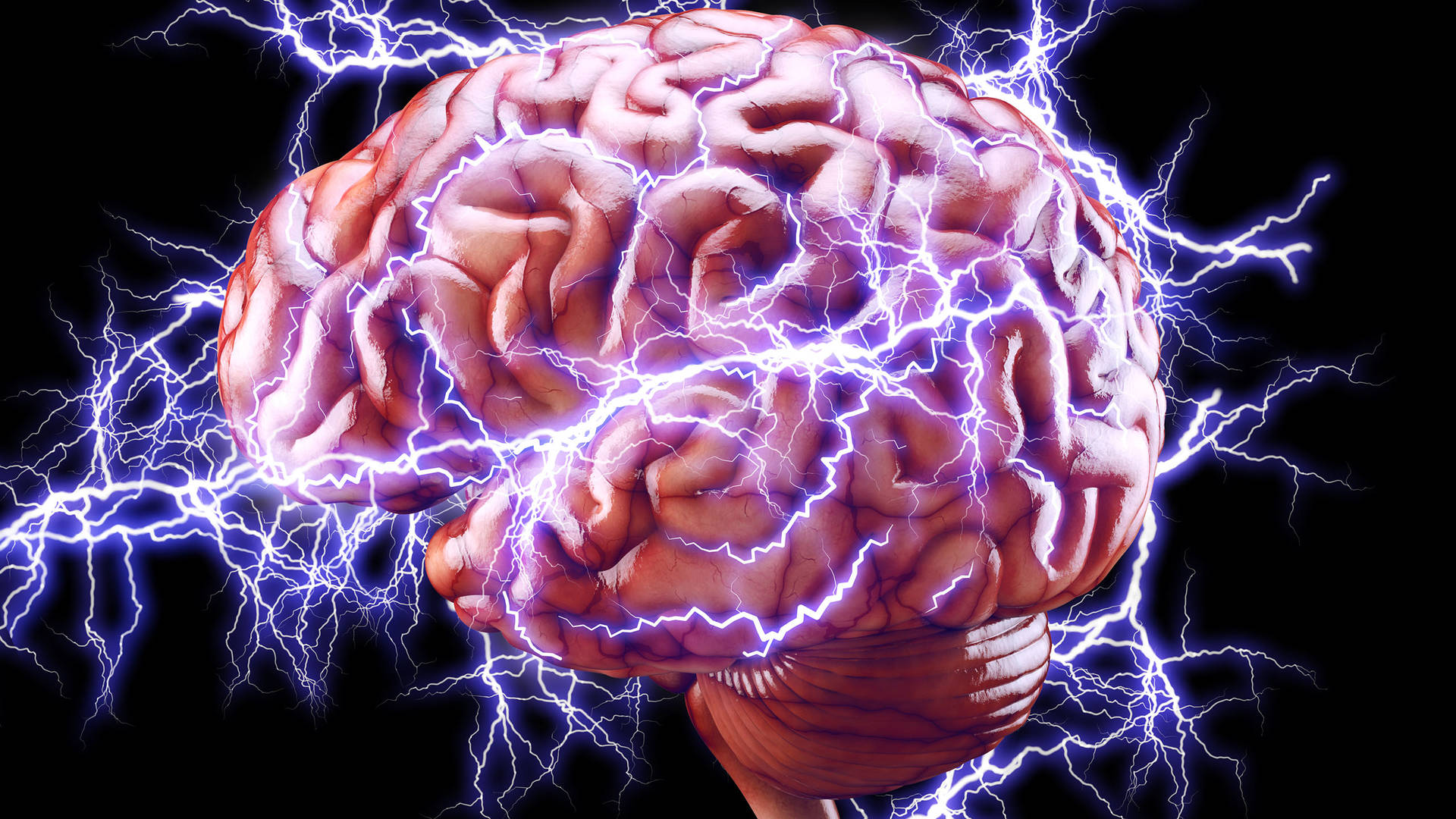 Cerebral Cortex With Electric Currents Wallpaper
