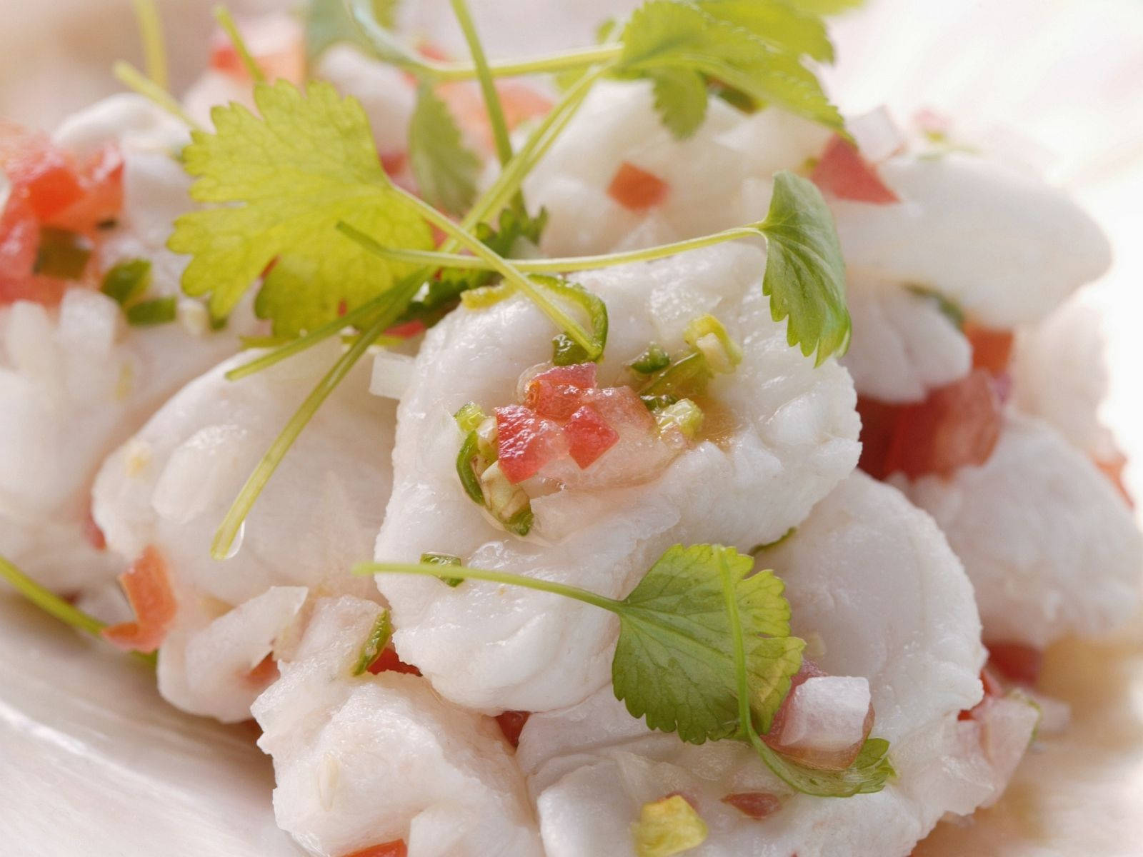Ceviche Raw Fish Meat Close-Up Wallpaper