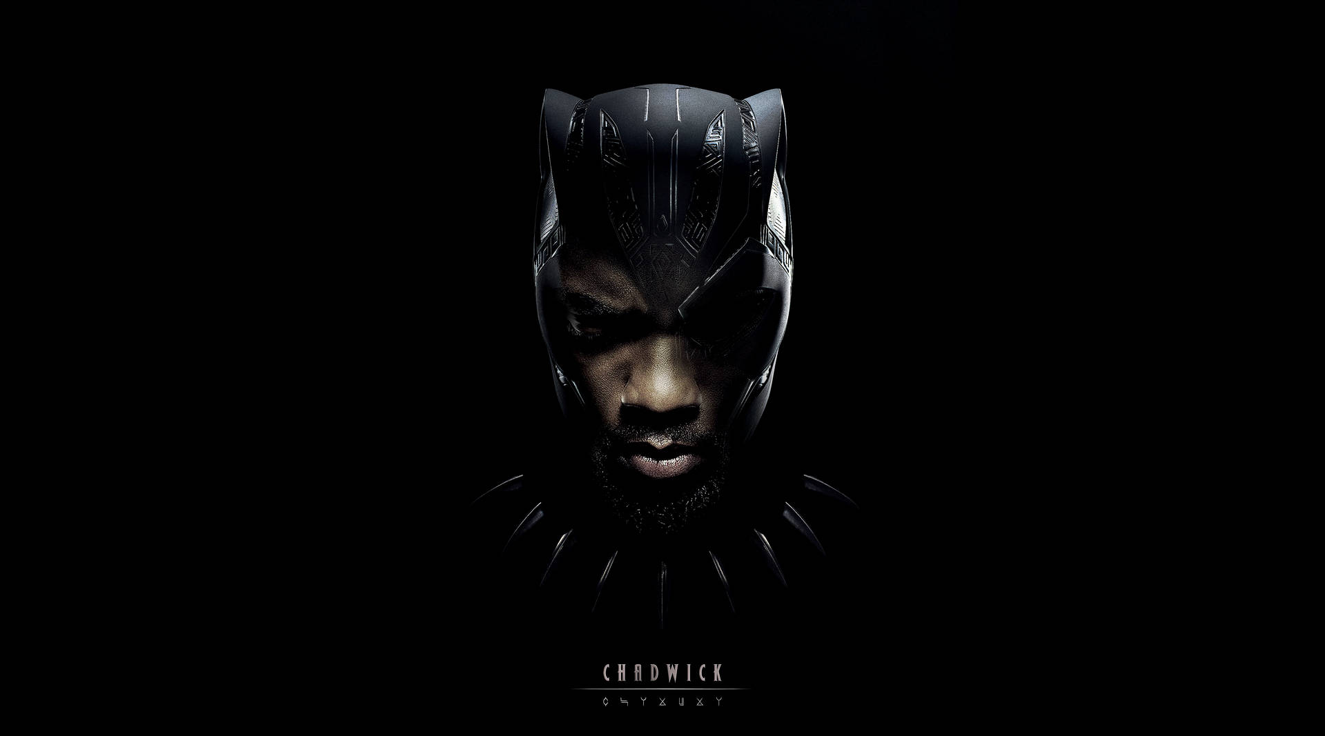 Chadwick As Black Panther 4k Ultra Hd Dark Picture