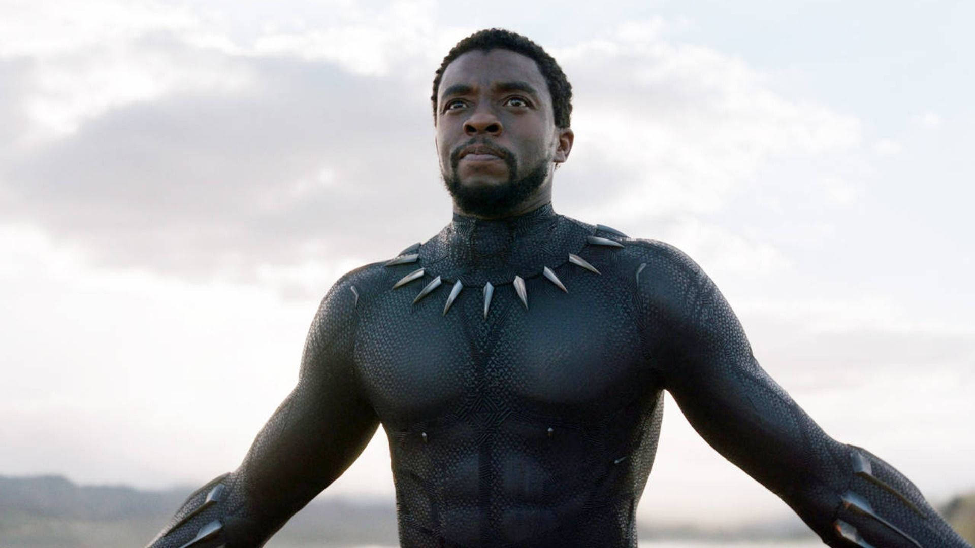 Chadwick Boseman As Black Panther Background
