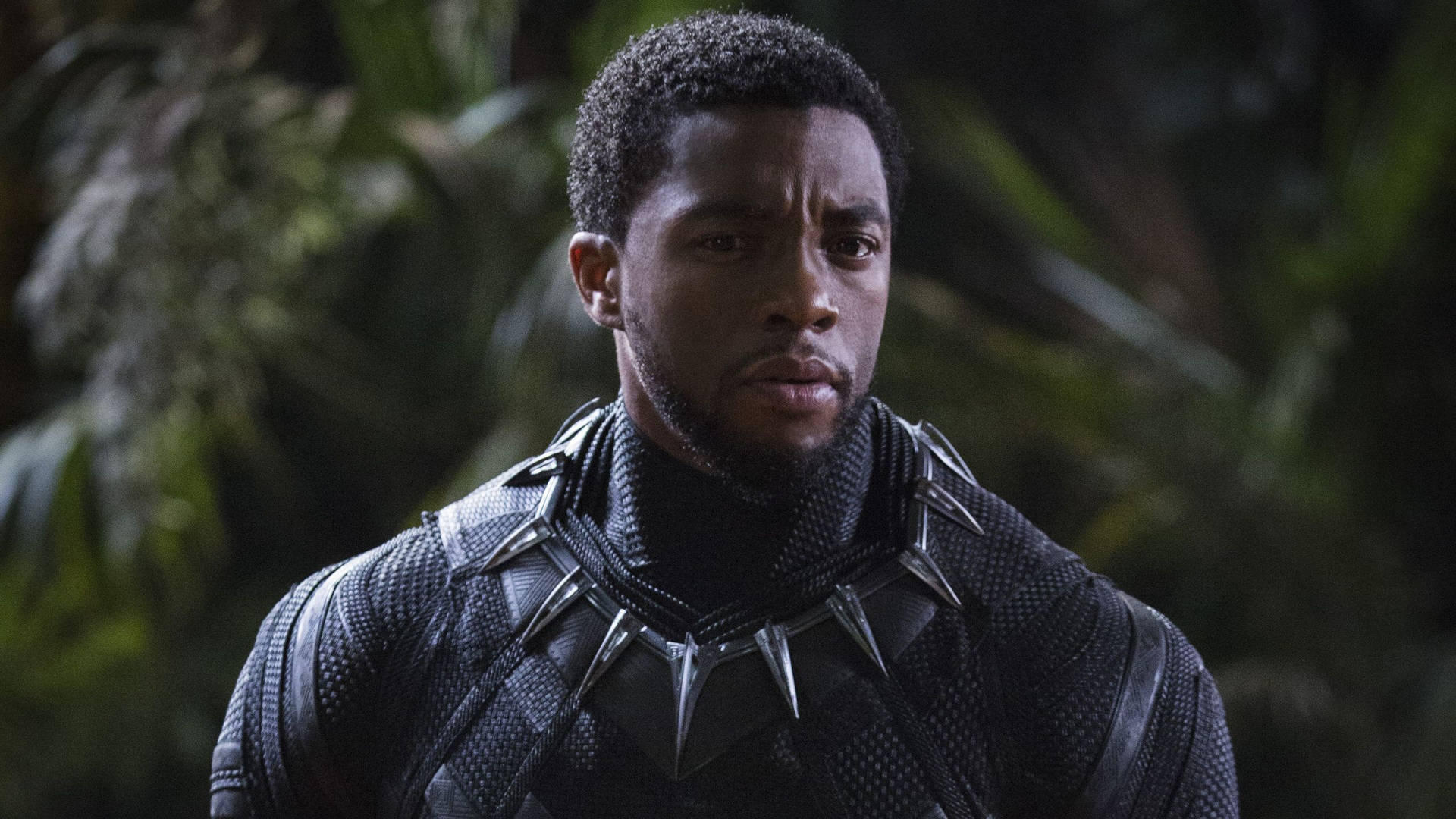 Chadwick Boseman Black Panther Suit Picture
