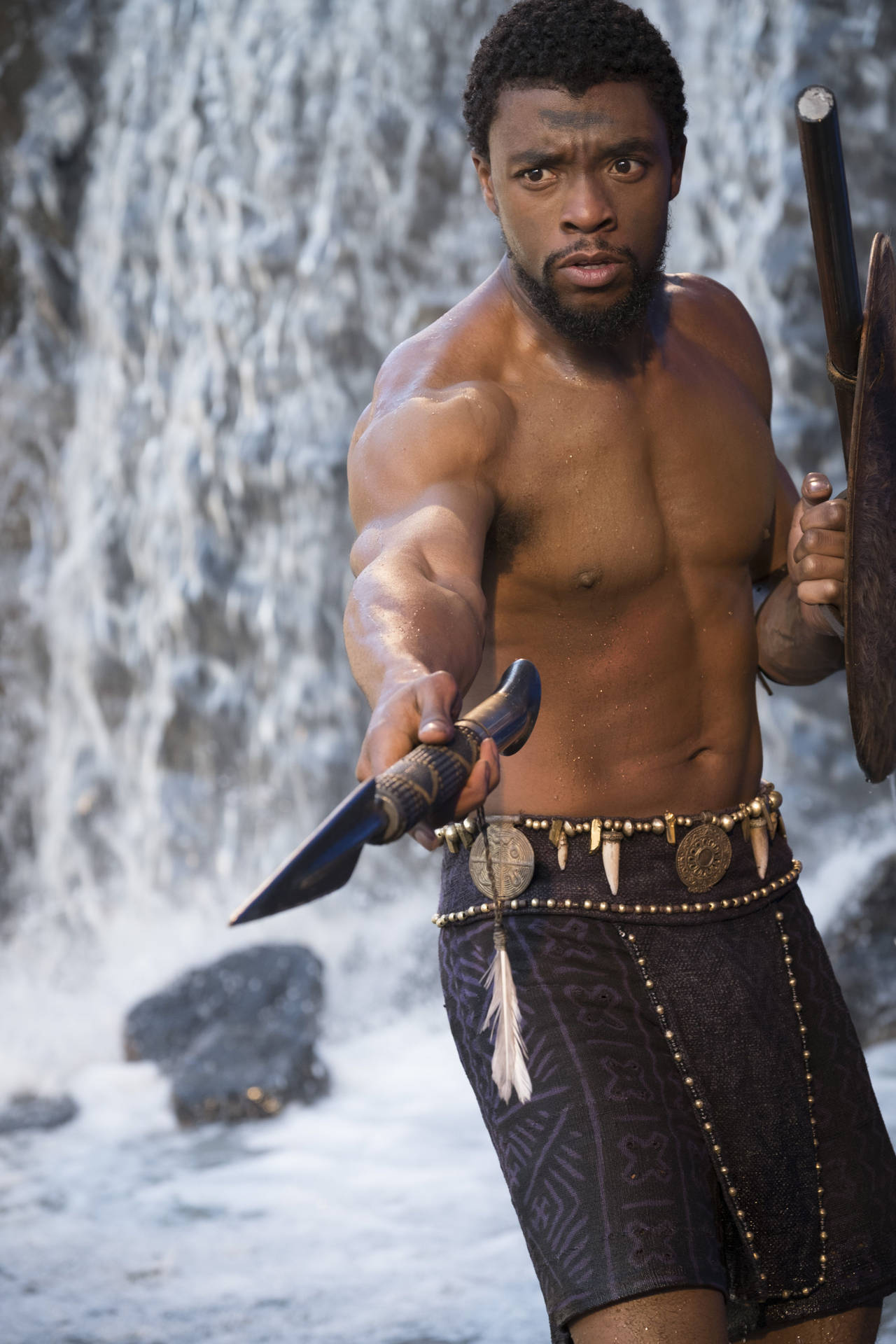 Chadwick Boseman Tribal Spear And Shield Background
