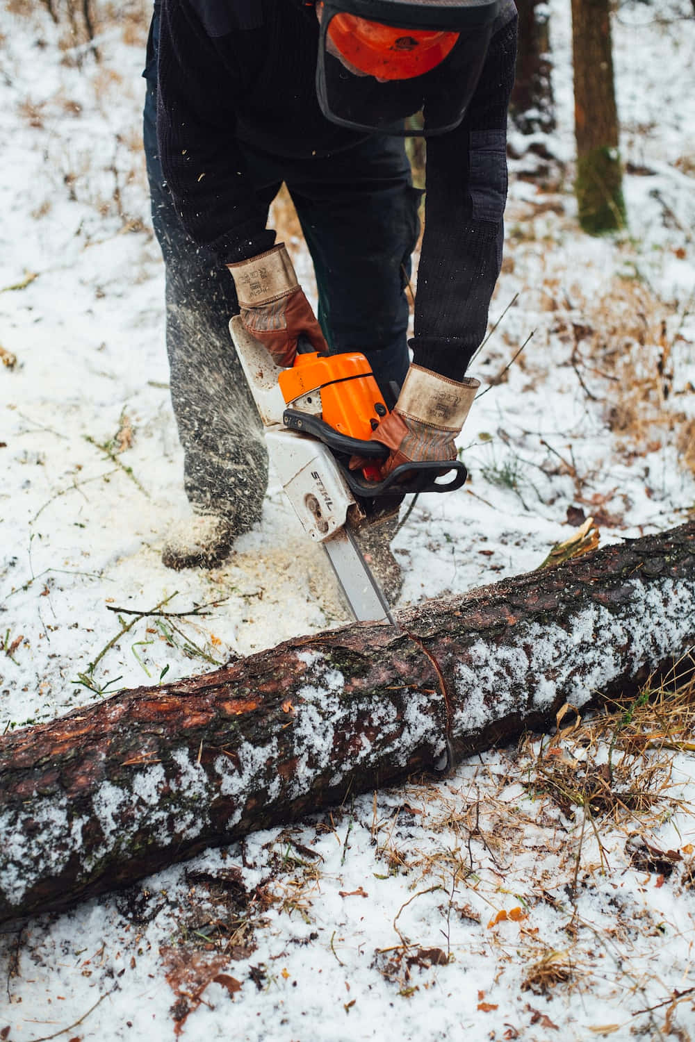 Chain Saw Winter Firewood Picture