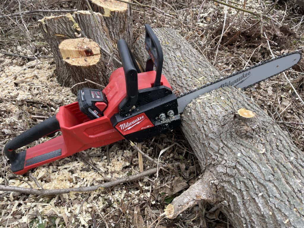 Chain Saw Forest Firewood Cutting Picture
