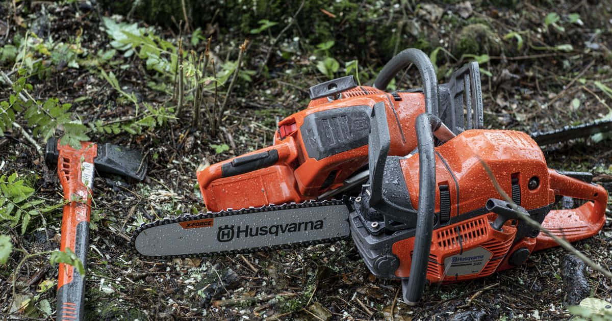 Forest Chain Saw Tool Picture
