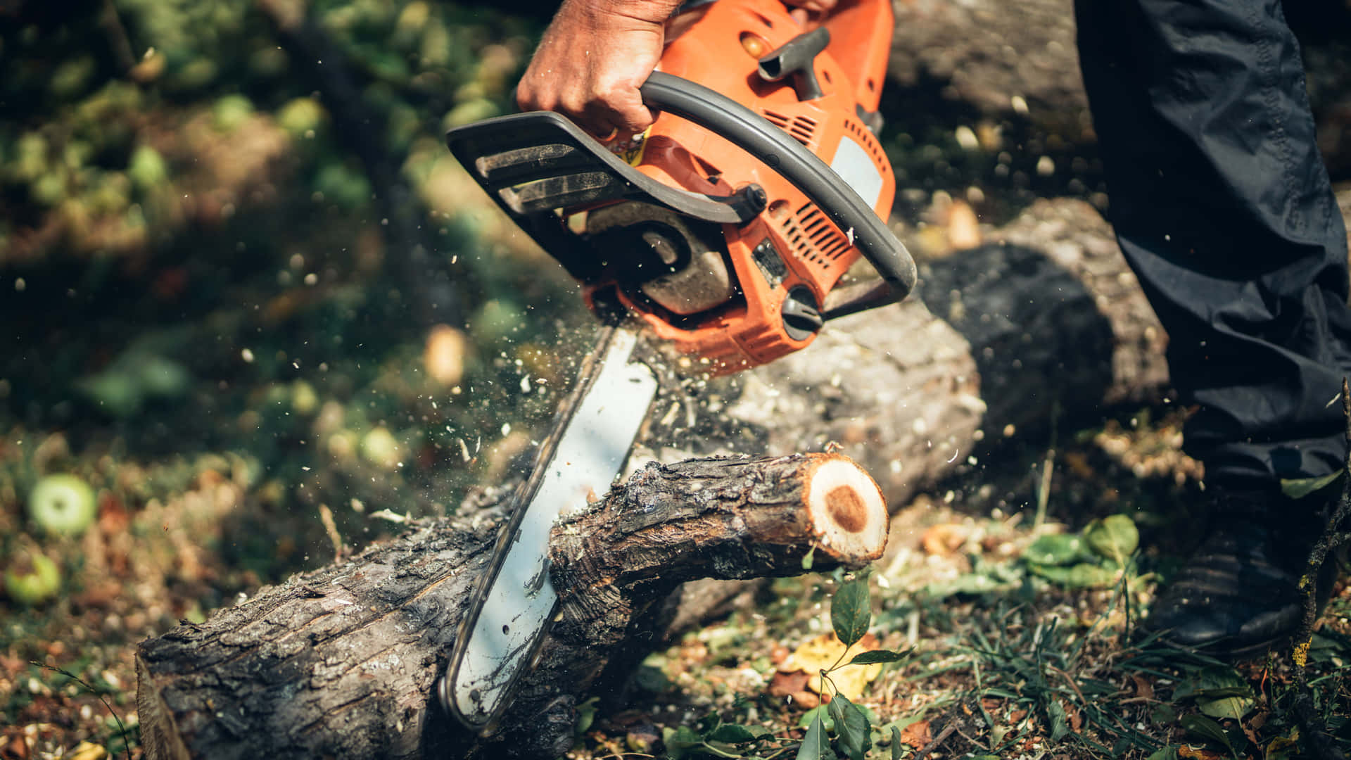 Powerful Chainsaw in Action